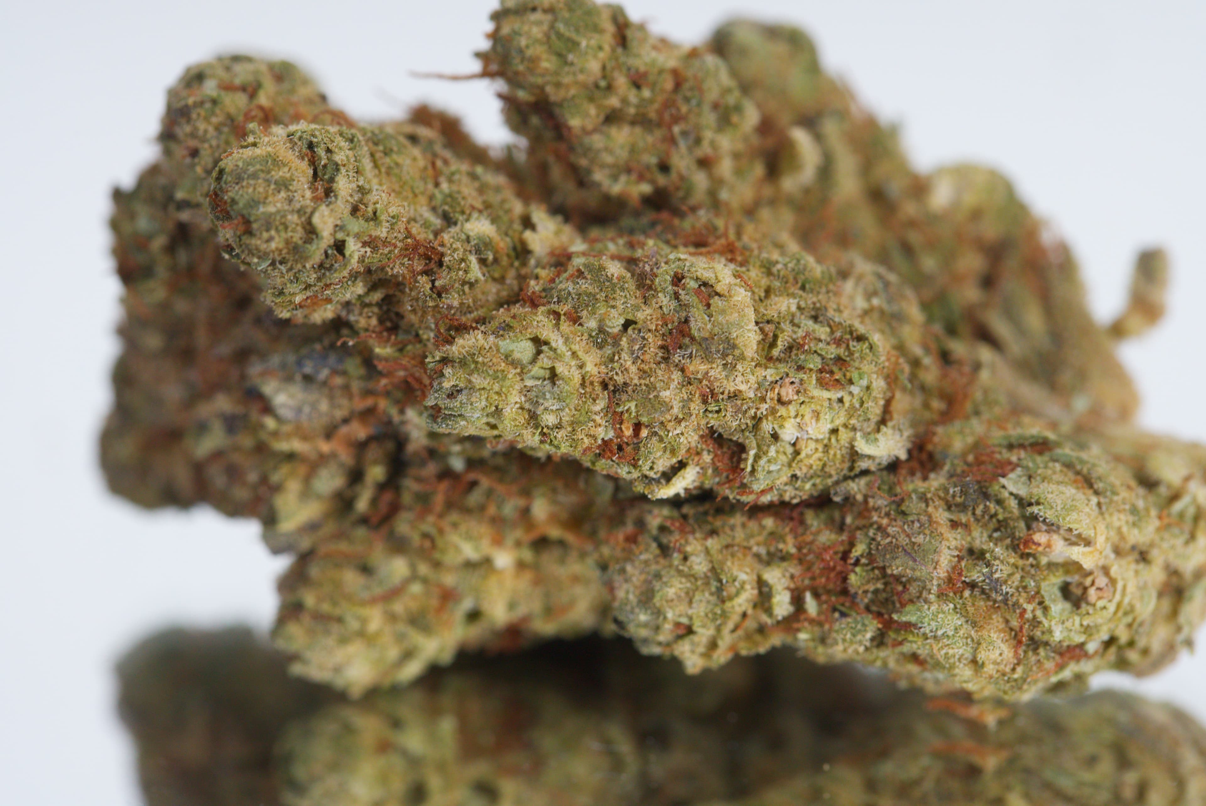 Gorilla Glue — product photography