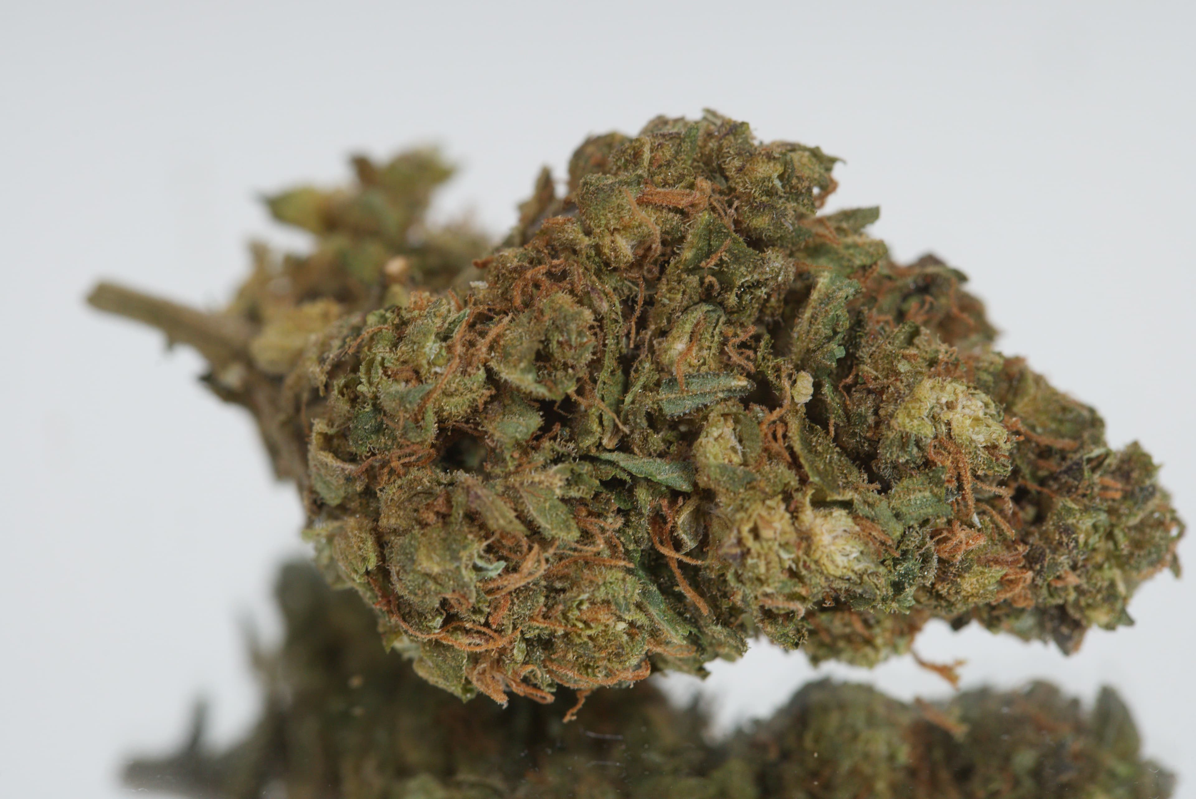 Blue Dream — product photography