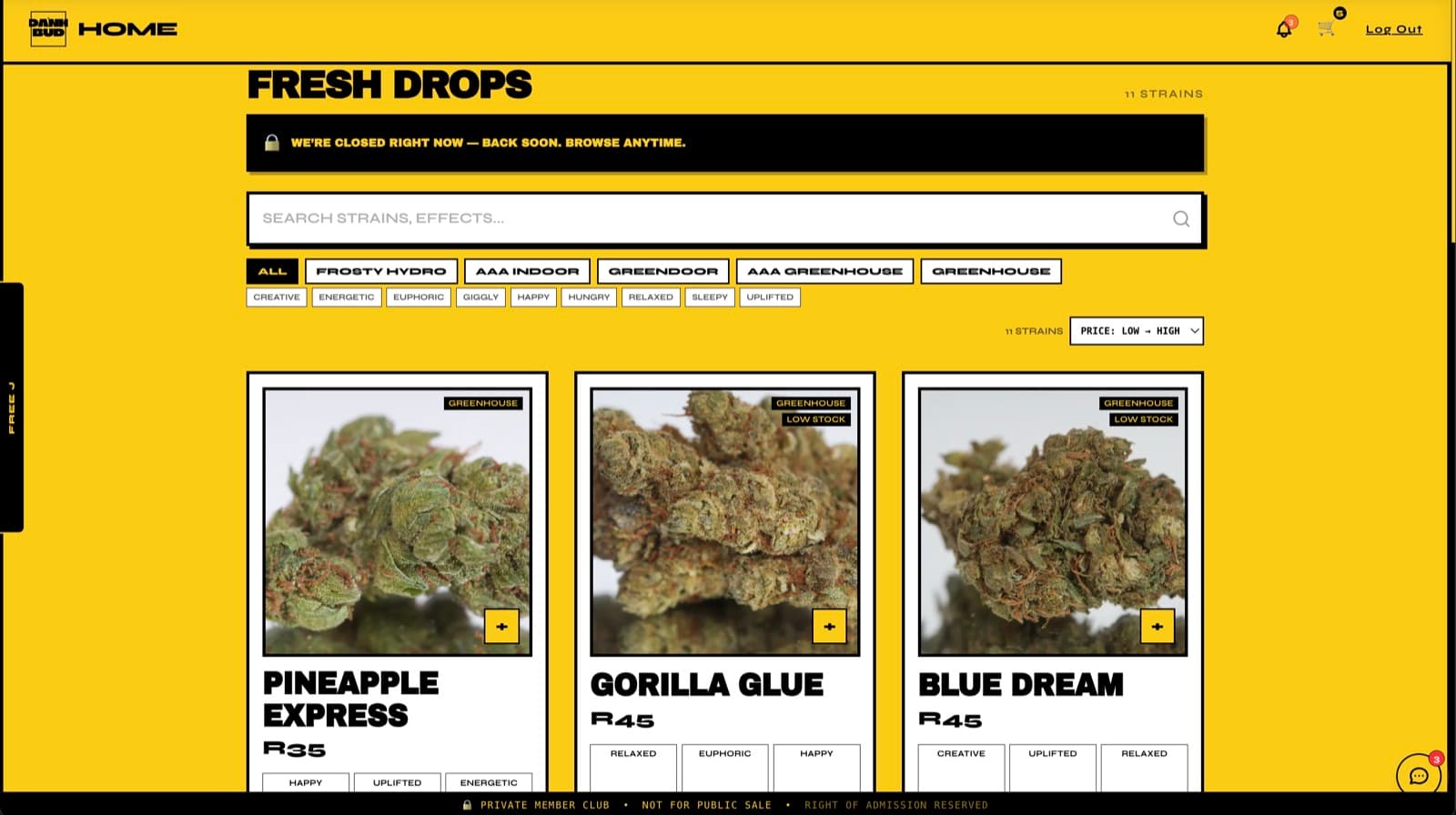 dankbud storefront — Fresh Drops catalogue with search and filters